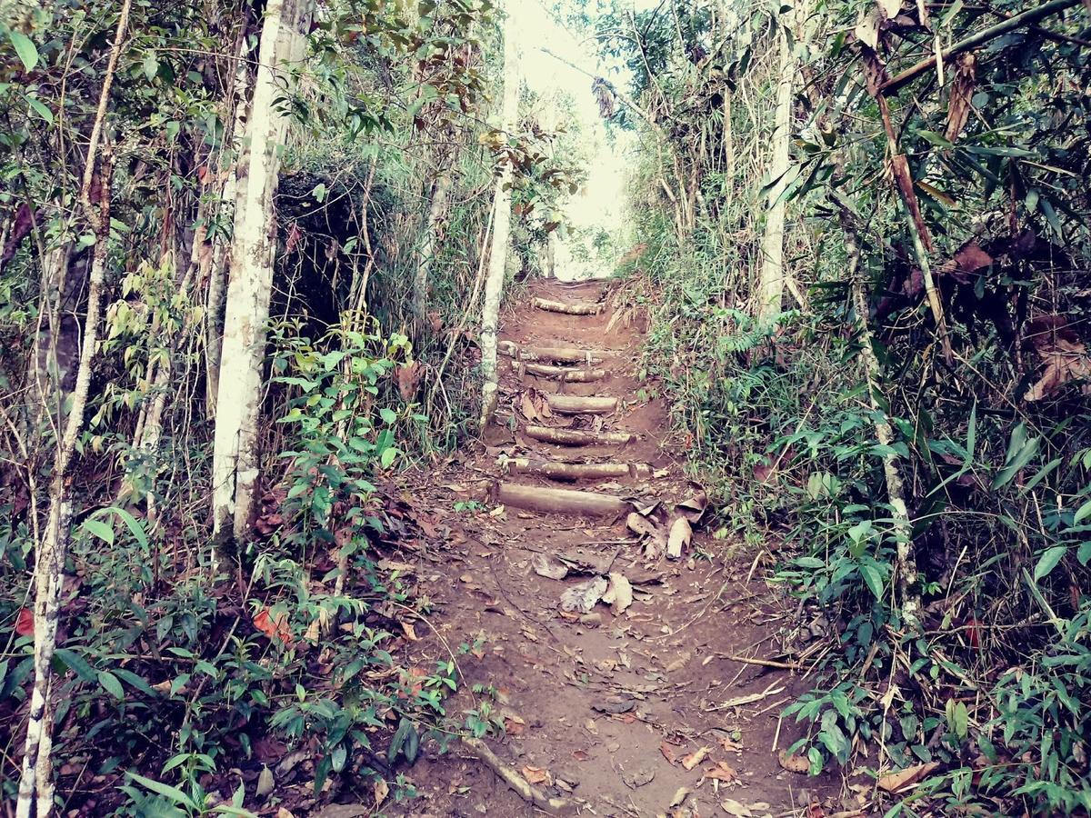 Canto Dos Passaros Nova Friburgo Ngoại thất bức ảnh